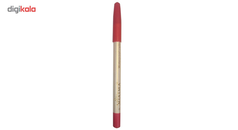 مداد لب شایما مدل Waterproof شماره 209