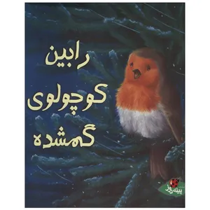 کتاب رابین  کوچولوی گمشده اثر الیزابت باگولی