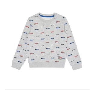 سویشرت پسرانه مدل Gcar35