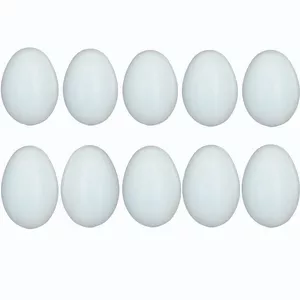 تخم مرغ تزیینی مدل پلاستیکی بسته 10عددی