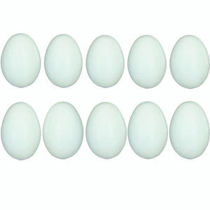 نقد و بررسی تخم مرغ تزیینی مدل پلاستیکی بسته 10عددی توسط خریداران