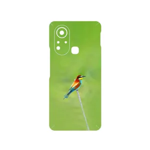 MAHOOT European bee-eater Cover Sticker for Infinix Hot 11s
