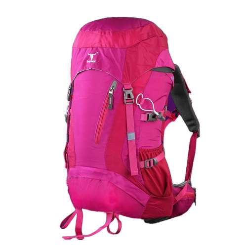 کوله پشتی کوهنوردی 45 لیتری پکینیو مدل 40+5 polar