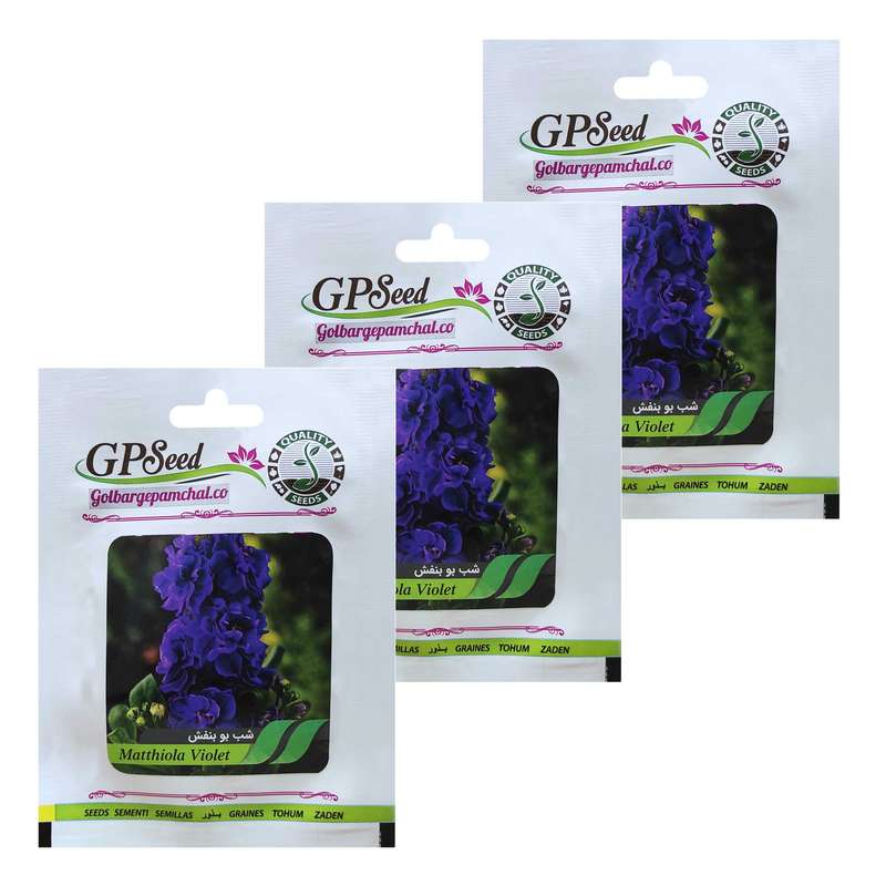 بذر گل شب بو بنفش گلبرگ پامچال مدل A3 مجموعه 3عددی