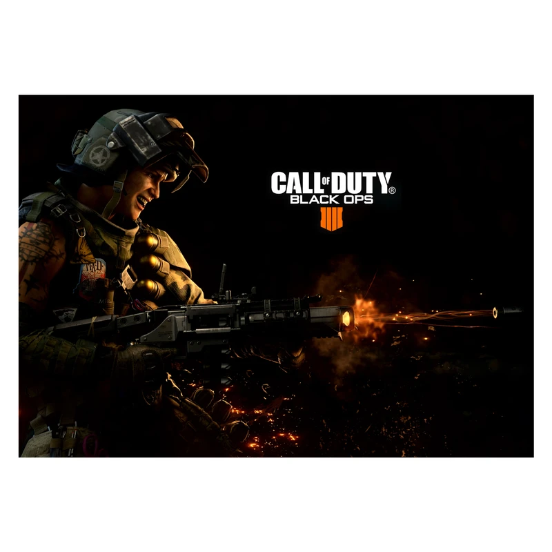 پوستر مدل Call of Duty کال آف دیوتی 2229
