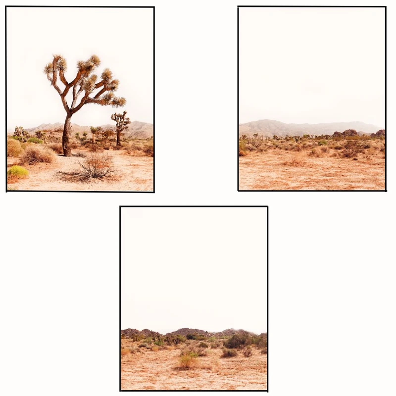 پوستر مدل مستر پارک ملی درخت جاشوا مجموعه 3 عددی