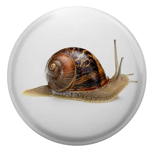 پیکسل طرح حلزون مدل S1627