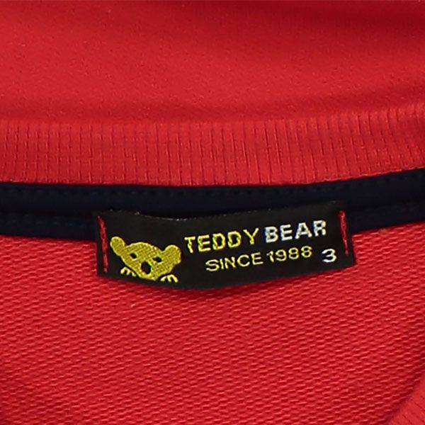 ست سویشرت و شلوار پسرانه خرس کوچولو طرح Teddy Bear کد 211 -  - 6