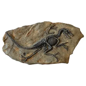 دیوارکوب مدل فسیل دایناسور کد 31
