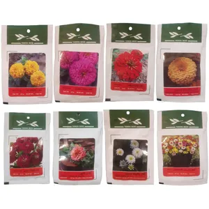 بذر گل آهار وانیا سید مدل VA-AH1-08 مجموعه 8 عددی