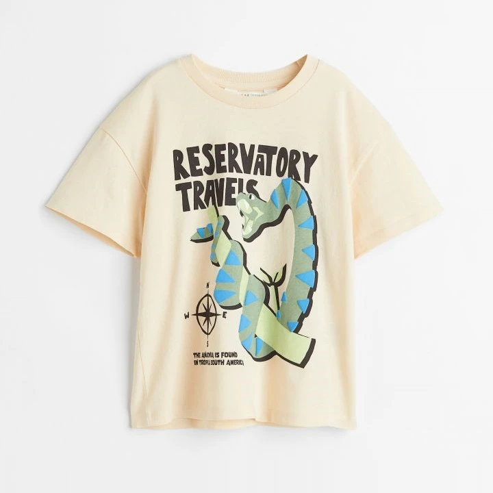 تی شرت آستین کوتاه پسرانه اچ اند ام مدل 1031967001