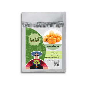 بذر فیسالیس سبز غول پیکر گیامیا مدل PH803