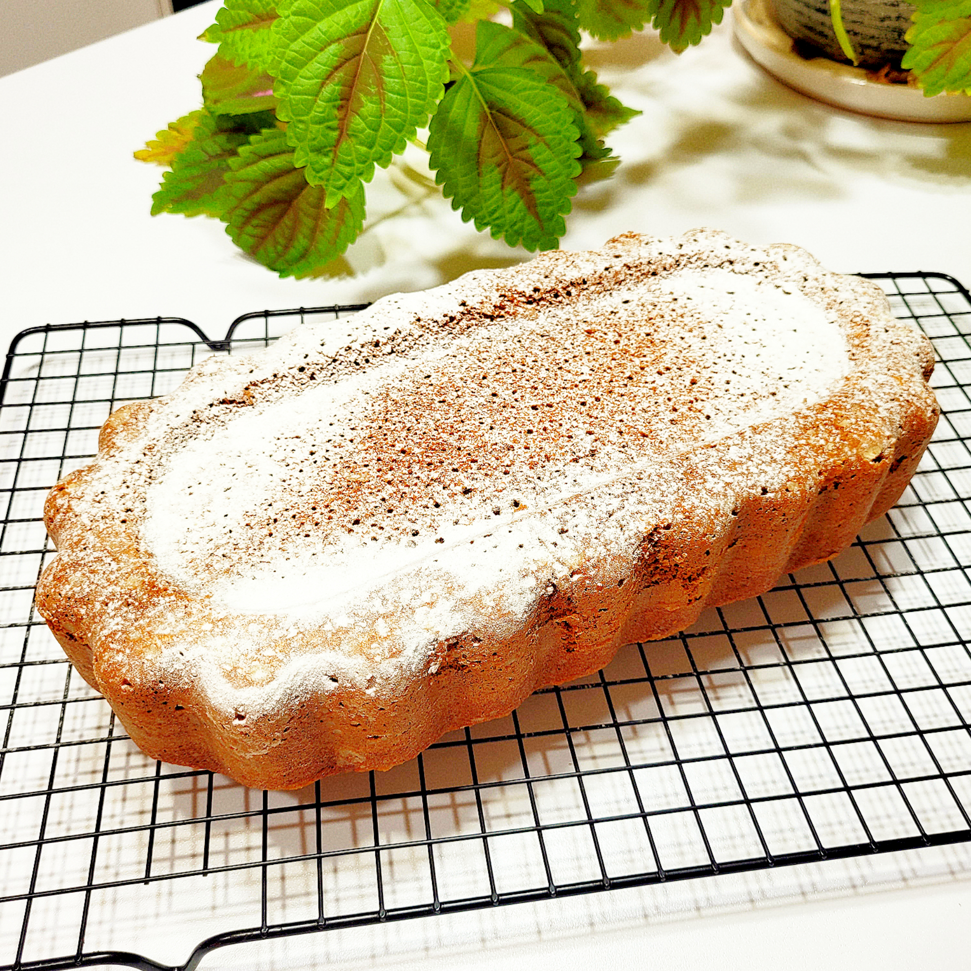 پودر کیک وانیلی دیلا - 630 گرم