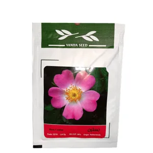 بذر گل نسترن وانیا سید مدل 0218