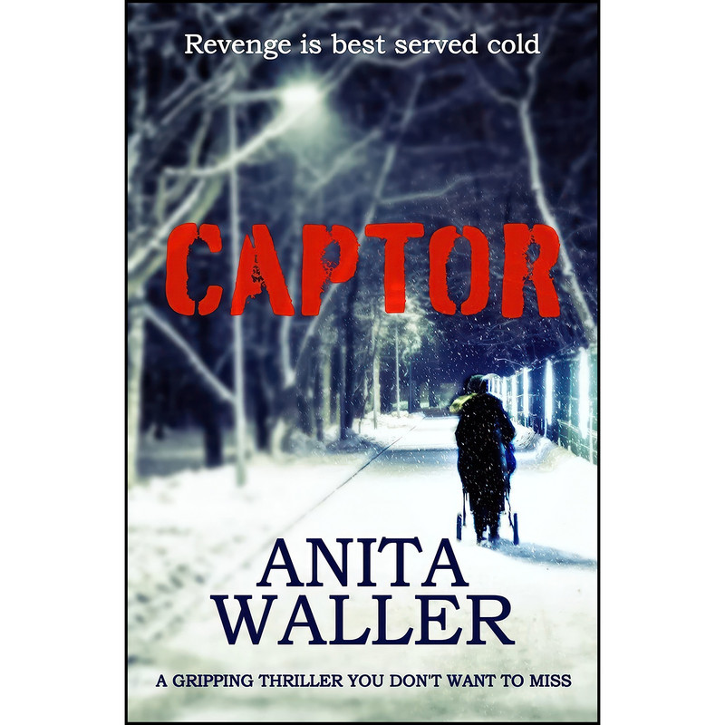 کتاب Captor اثر Anita Waller انتشارات تازه ها