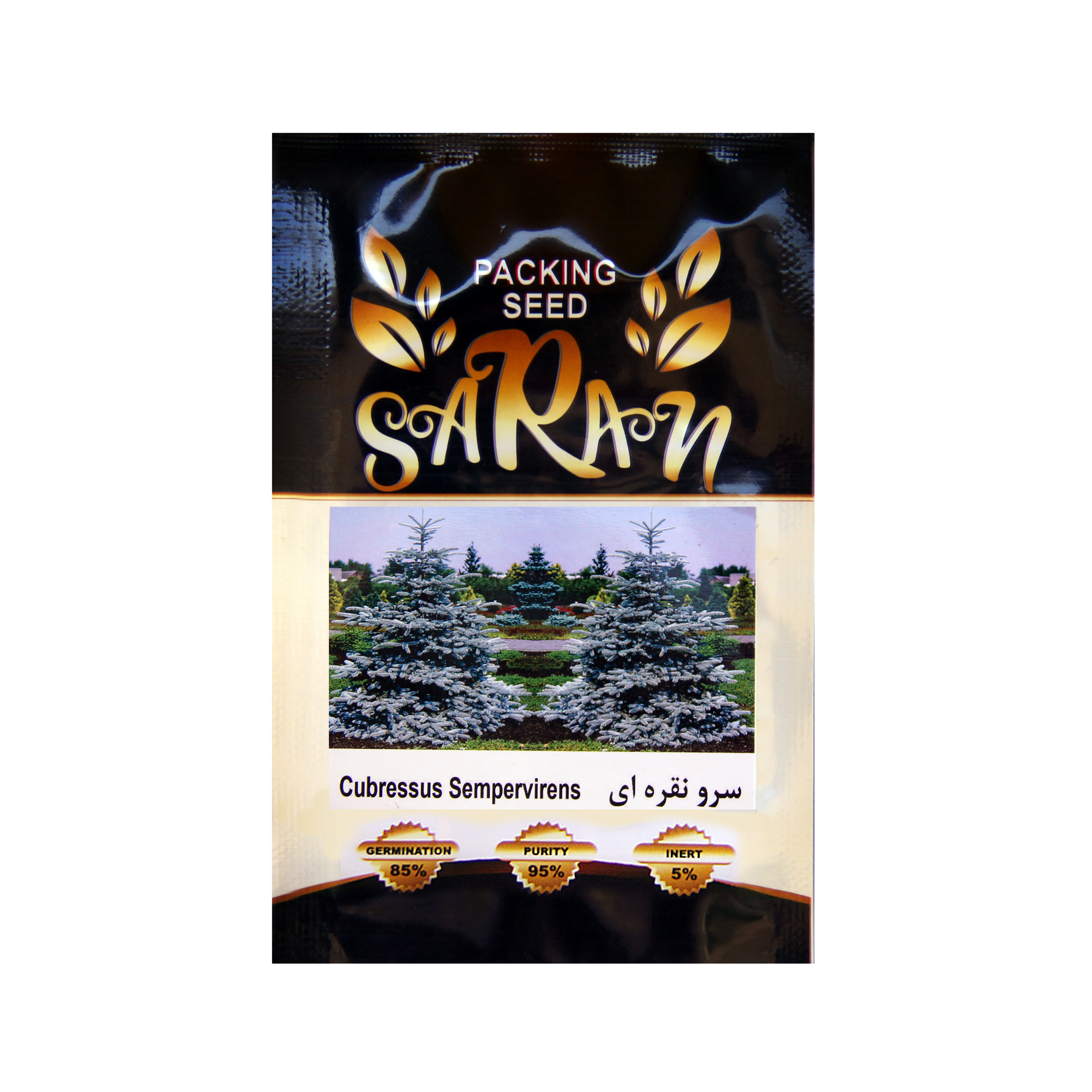 بذر درخت سرو نقره ای ساران مدل AMR-145