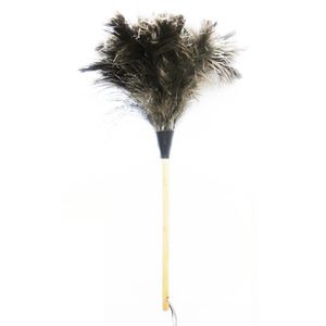 نقد و بررسی گردگیر آلین مدل Ostrich Feather 3 توسط خریداران