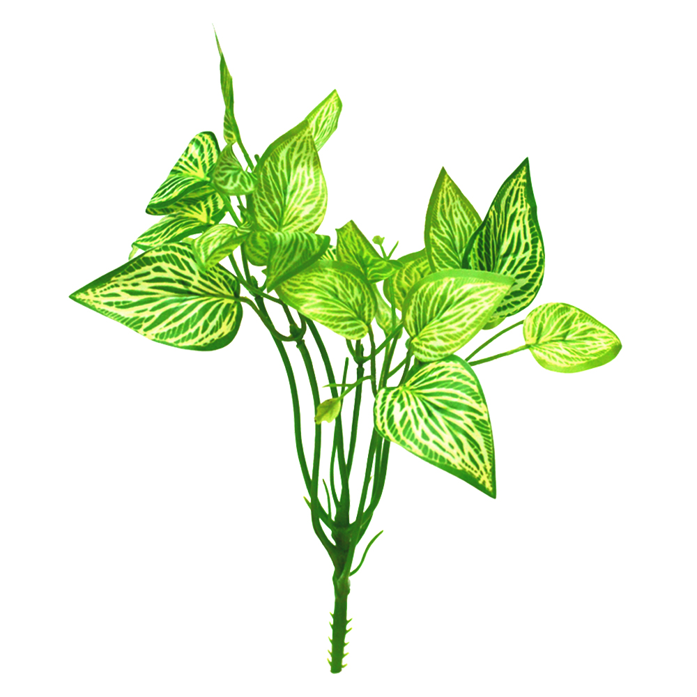 گیاه تزیینی آکواریوم مدل بوته لمسی یاس 2003