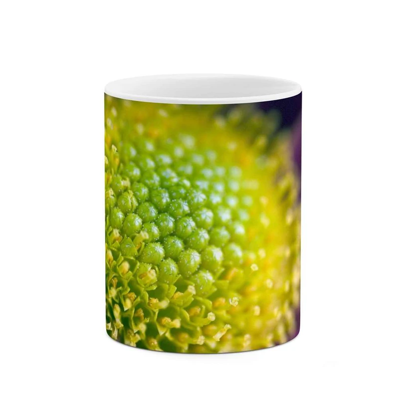 ماگ کاکتی مدل گل کد mgh12076