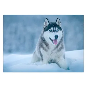Wensoni Hungary Wolf Chassis Size 50 x 70 Cm