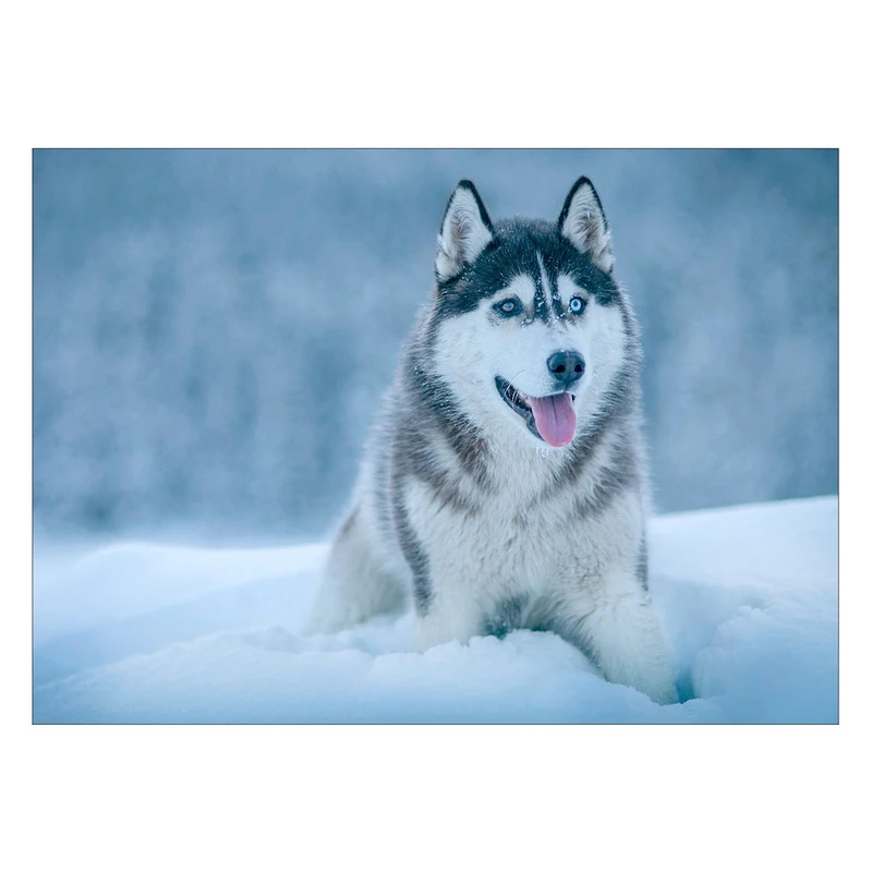 تابلو شاسی ونسونی طرح Hungary Wolf سایز 50x70 سانتی متر
