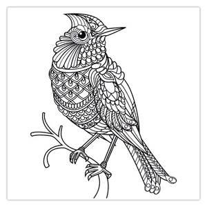 ZeeZip 994P15 Coloring Chassis Size 15x15 Cm