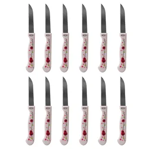 کارد میوه خوری مدل Joint-ch-03 بسته 12 عددی