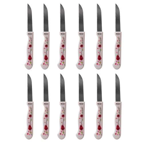 کارد میوه خوری مدل Joint-ch-03 بسته 12 عددی