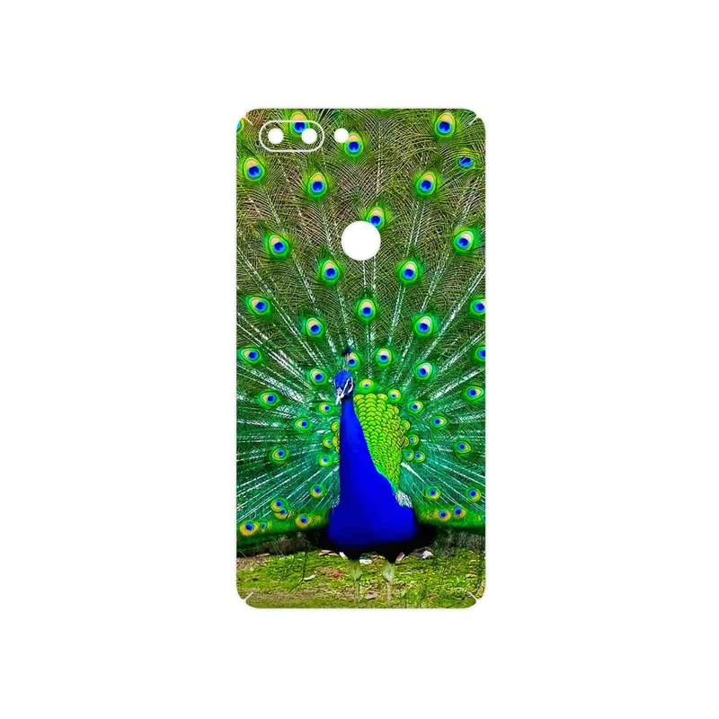 برچسب پوششی ماهوت مدل Peacock مناسب برای گوشی موبایل تکنو Phantom 8
