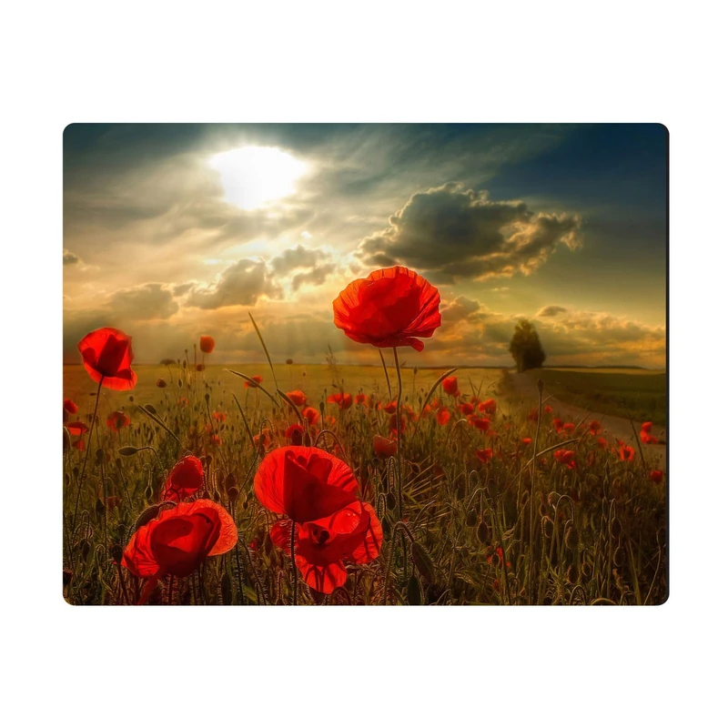 ماوس پد الینور مدل MPE203