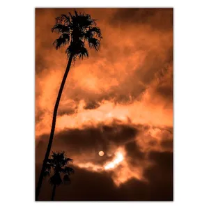 Wensoni Sunset in Cloudy Sky Chassis 40 x 30