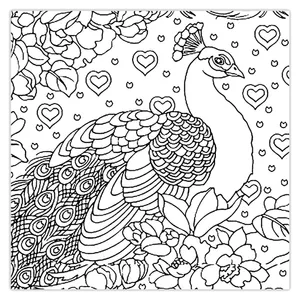 ZeeZip 948P20 Coloring Chassis Size 20x20 Cm