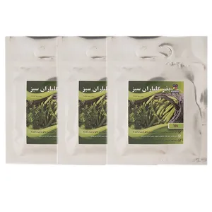 مجموعه بذر باقلا گلباران سبز بسته 3 عددی