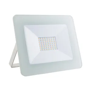 Delta Projector LED 50W Lamp