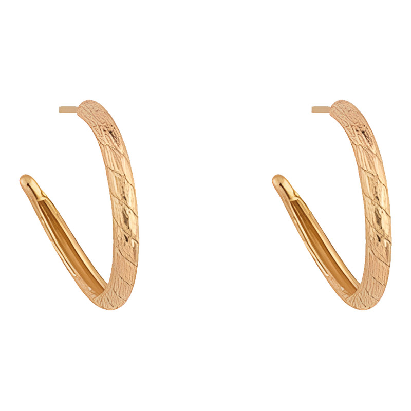 گوشواره میخی طلا 18 عیار زنانه کیا گالری مدل اژدهاک کد EM347