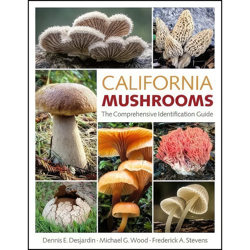 کتاب California Mushrooms اثر جمعي از نويسندگان انتشارات Timber Press
