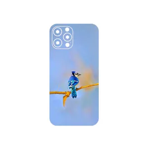 MAHOOT Cyanocitta cristata Cover Sticker for Apple iPhone 12 Pro Max