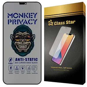 Glass Star AMPG Privacy Screen Protector Suitable For Apple iPhone 12 Pro Max