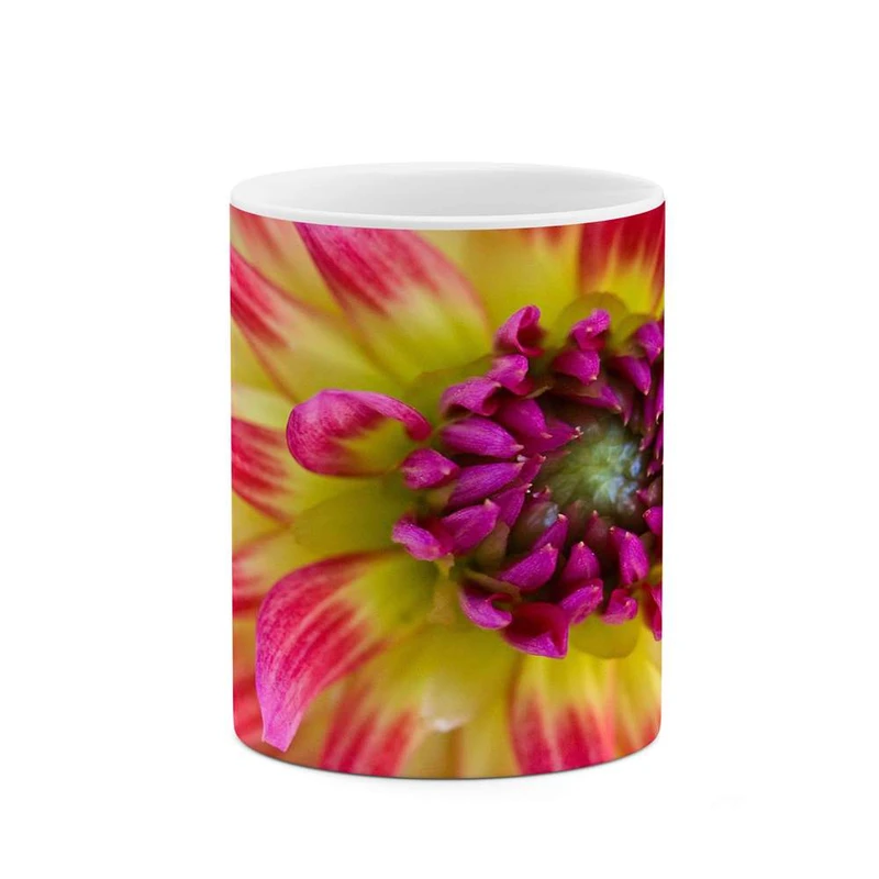 ماگ کاکتی مدل گل کد mgh16000