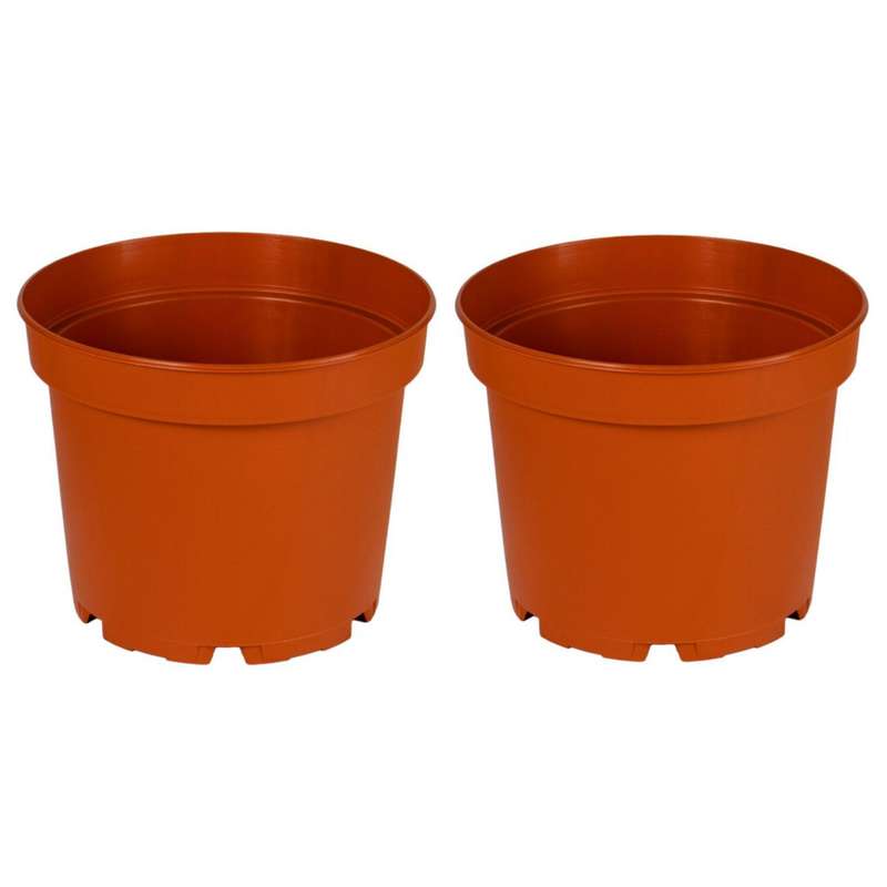 گلدان مدل پاچیرا کد 19 بسته 2 عددی