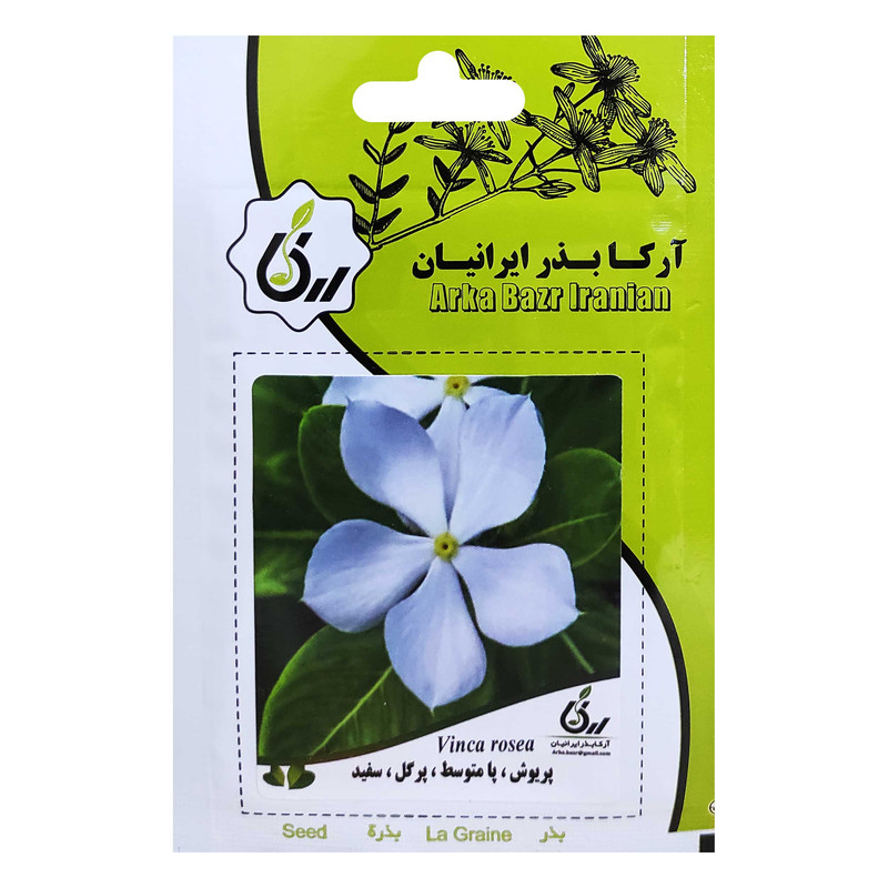 بذر پریوش پامتوسط پرگل سفید آرکا بذر ایرانیان کد ARK-043