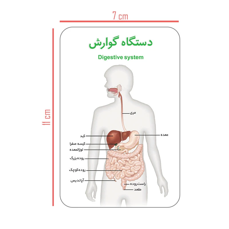 عکس شماره 2