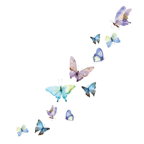 استیکر سالسو طرح buterfly dance استیکر سالسو طرح buterfly dance