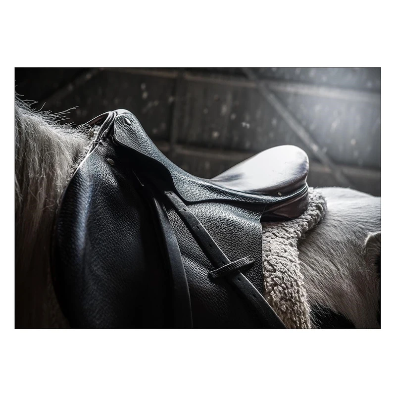تابلو شاسی ونسونی طرح Horse Saddle سایز 30x40 سانتی متر