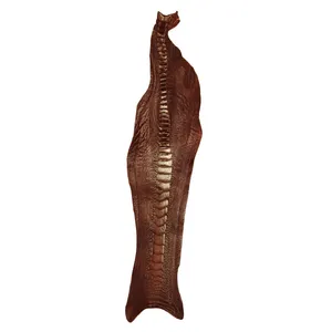 چرم طبیعی مدل ساق شتر مرغ کد OL117