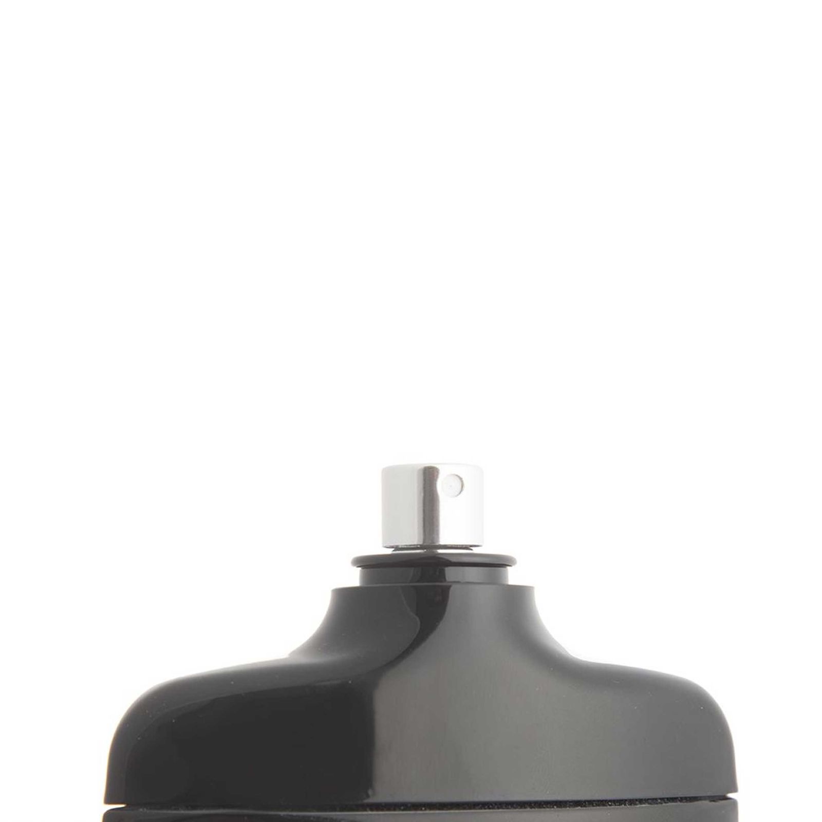 ادو پرفیوم مردانه نایس پاپت مدل Silver Scent با رایحه خنک و تند حجم 85 میلی لیتر -  - 2