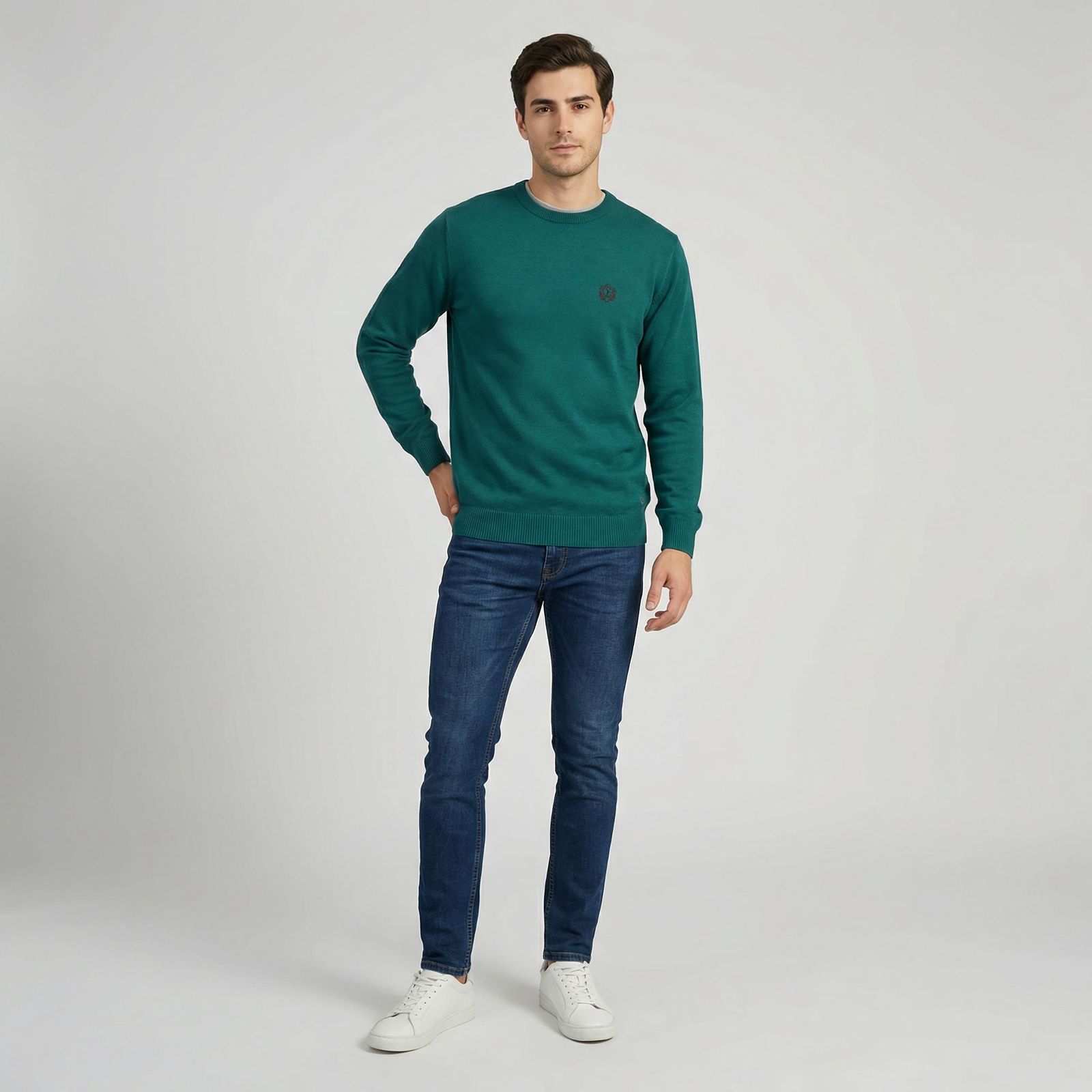 پلیور یقه گرد مردانه تریکو پاییزان مدل  PR700 -  - 27