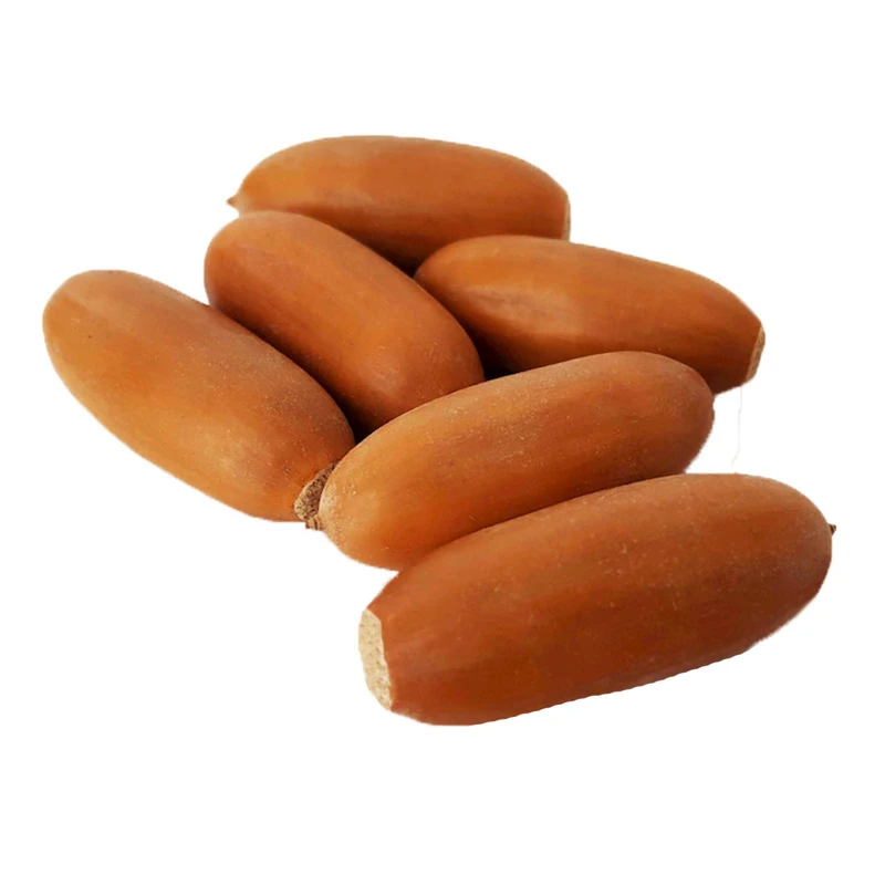 میوه تزیینی مدل shml بسته 5 عددی