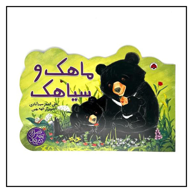  کتاب ماهک و سیاهک اثر علی اصغر سیدآبادی انتشارات شهرقلم   
