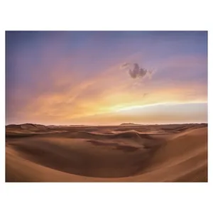 تابلو شاسی آپیا مدل غروب کویر